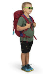 Osprey Jet 18 Mochila Infantil de Senderismo, Unisex niños, Rojo, O/S