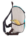 Campingaz Bacpac Ethnic Nevera Flexible, Azul, 9 l