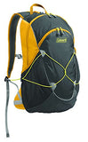 Coleman Glacier Basin Gold - Mochila, 30 l