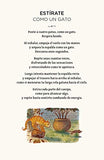 Flamboyant - Con calma Juego de cartas (Caja con 30 Cartas)
