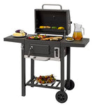 tepro Toronto - Barbacoa de carbón compacta, color antracita/acero inoxidable