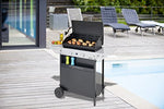 Campingaz Xpert 200 L Vario - Barbacoa Gas