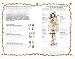 Constelaciones: Guía ilustrada de astrología (Plan B)