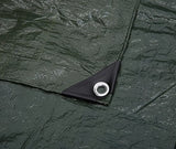 Amazon Basics – Lona para acampada, 3 x 3,65 m