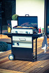 CAMPINGAZ Blue Flame LX - Barbacoa de Gas con Placa esmaltada y 2 quemadores de Acero, Parrilla de Mesa con tecnología BlueFlame para Parrilla mediterránea a la Plancha, Gris