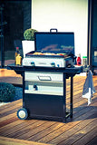 CAMPINGAZ Blue Flame LX - Barbacoa de Gas con Placa esmaltada y 2 quemadores de Acero, Parrilla de Mesa con tecnología BlueFlame para Parrilla mediterránea a la Plancha, Gris