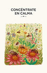 Flamboyant - Con calma Juego de cartas (Caja con 30 Cartas)