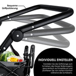 KESSER® Carro plegable GT9000 con techo de mano, incluye sistema de cinturón de 3 puntos, plegable, neumáticos de goma sólida, hasta 80 kg, freno delantero y trasero + bolsa de transporte negro/gris