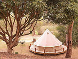 Psyclone - Tienda de campaña de suelo fijo con 10 ventanas de 5 m para todo tipo de clima, para 8 a 10 personas, de algodón, gran campana para la familia, camping, senderismo, festivales