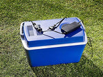Nevera portátil termoeléctrica de 12 V para camping y coche con transformador de 230 V